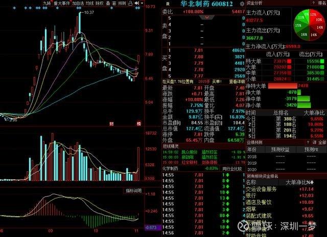 600831股票-600831股票行情
