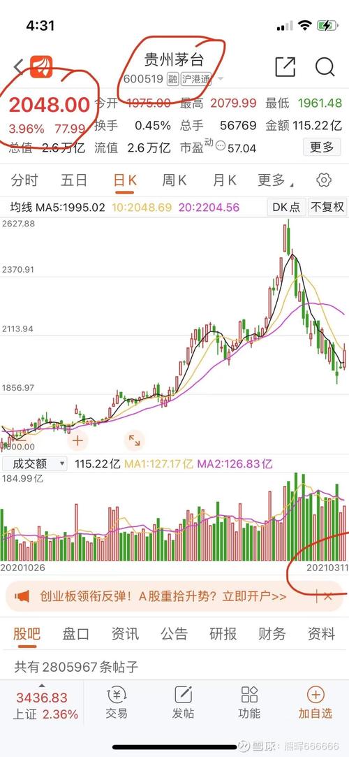 茅台股票代码-茅台股票代码600660