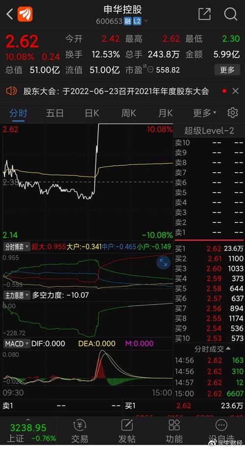 申华控股-申华控股(600653)股吧