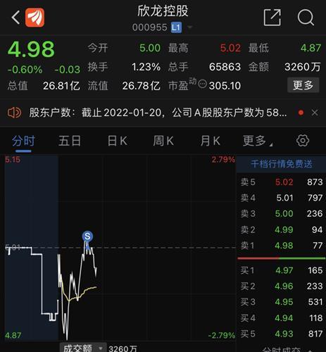 欣龙控股股票-欣龙控股股票股吧