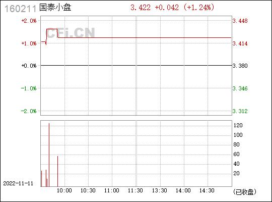 国泰中小盘-国泰中小盘160211