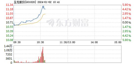 601028玉龙股份-601028玉龙股份股吧