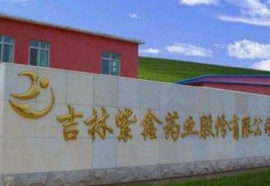 吉林紫鑫药业-吉林紫鑫药业有限公司最新消息