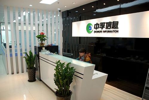 中孚信息-中孚信息股份有限公司