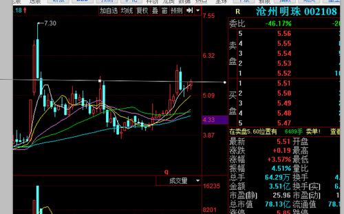 002108股票-002108股票行情