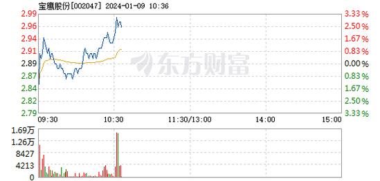 宝鹰股份-宝鹰股份股票