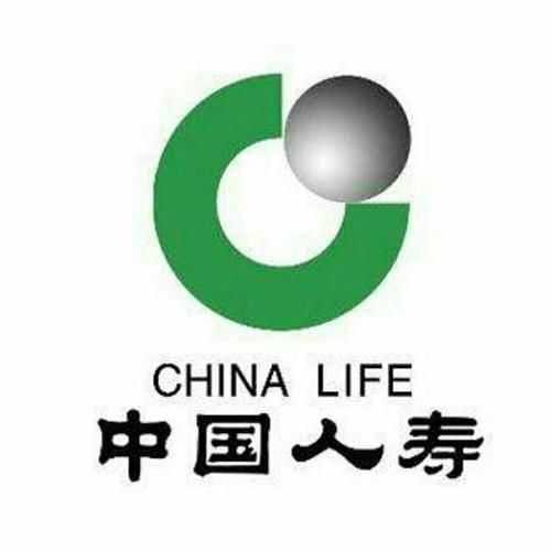 中国人寿保险股份-中国人寿保险股份有限公司