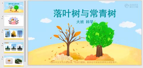 常青树-常青树是什么意思