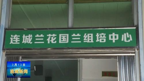 兰花股份-兰花股份有限公司