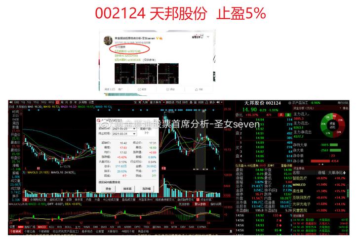 天邦股份002124-天邦股份002124股吧
