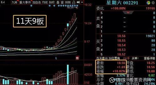 002269股票-002269股票行情