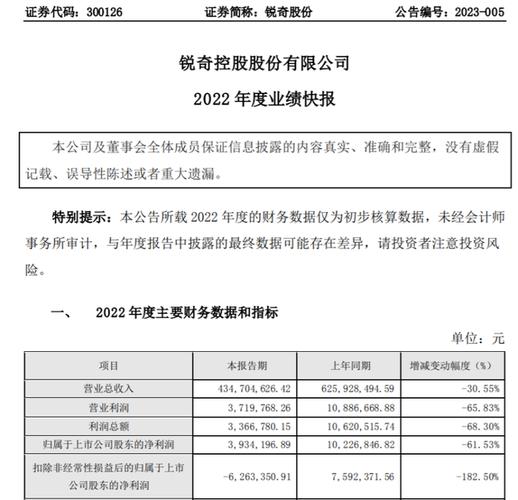 锐奇股份300126-锐奇股份有限公司