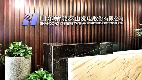 山东新能泰山发电股份有限公司-山东新能泰山发电股份有限公司是国企吗