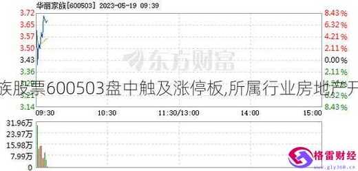 华丽家族吧-600503华丽家族股吧